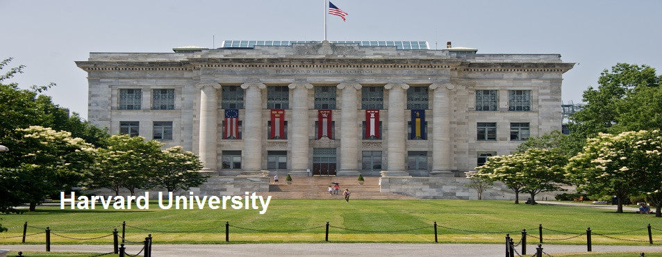 Harvard_University